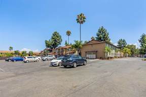 A parking lot with cars and palm trees in the background.