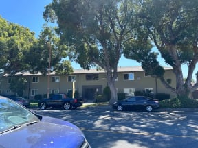 Street view of mature tree lined street of Edison Apartments in Burbank, California.
