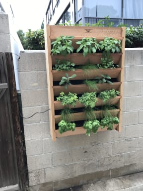 Hanging herb garden in community area at Harbor Villa Apartments in San Diego, California.