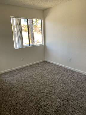 A room with a carpeted floor and a window.