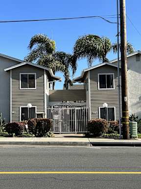 A house with a grey siding and a white door is surrounded by green bushes and palm trees.