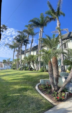 Sidewalk view of mature palms and manicured landscaping at Saint Malo Surf Apartments in Oceanside, California.