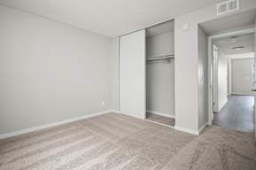 A room with a carpeted floor and a doorway leading to another room.