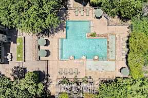 An aerial view of a pool surrounded by trees and lounge chairs.