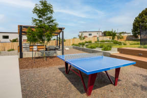 a ping pong table in the backyard of a house