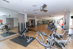 A gym with a variety of exercise equipment including treadmills, stationary bikes, and weight machines.