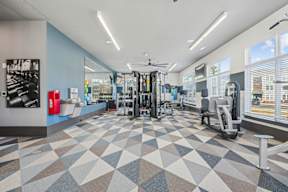 A gym with a variety of equipment including treadmills, weights, and a fan.