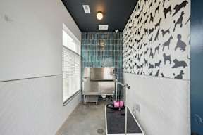 A room with a wallpaper of dogs on the wall.