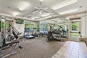 A gym with a variety of equipment including treadmills, stationary bikes, and weight machines.