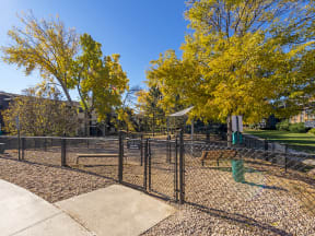 fenced in dog park