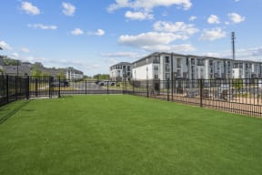 fenced dog park with apartments in the background
