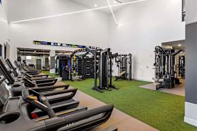 Cardio Equipments at Elysium, Phoenix, Arizona