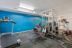 our gym is equipped with cardio equipment and weights for a cardio workout