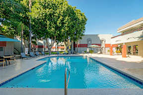 A large swimming pool surrounded by trees and lounge chairs.