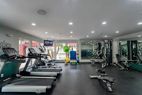 A gym with treadmills, exercise bikes, and other equipment.