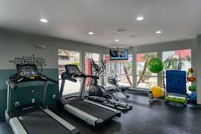 A gym with treadmills, exercise balls, and other equipment.