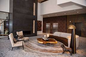 A modern living room with a fireplace and a dog.