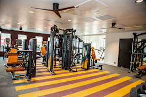 A gym with a variety of equipment including a squat rack, bench press, and a weight machine.