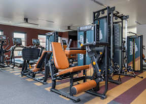 A gym with a row of exercise machines.