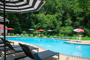 pool and lounge at Atlantic Pointe Apartments, New Jersey, 07716