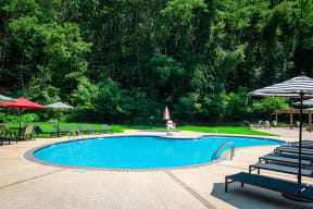 a swimming pool with chairs and umbrellas and trees in the background at Atlantic Pointe Apartments, Atlantic Highlands, New Jersey