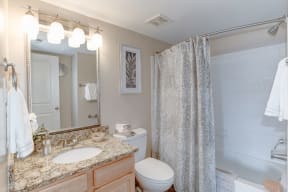 a bathroom with a shower toilet and sink at Ellicott Grove, Maryland