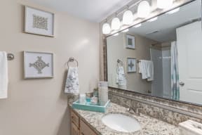 a bathroom with a sink and a mirror at Ellicott Grove, Ellicott City, MD 21043