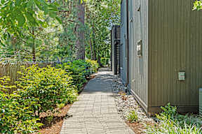 A walkway between two buildings with greenery on the sides.