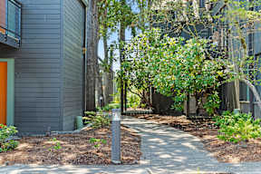 A tree-lined walkway leads to a building with a bright orange door.