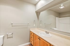 Village at Southern Crossing 2 bed 2 bath Townhbome 1319 sf bathroom