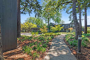 A walkway in a park with trees and a building in the background.