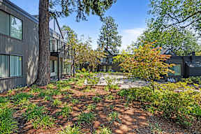 A modern house with a large front yard and trees.