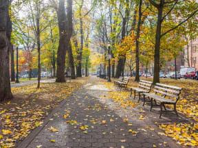 St James nearby park