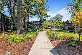 A concrete walkway leads through a tree-lined path in a residential area.