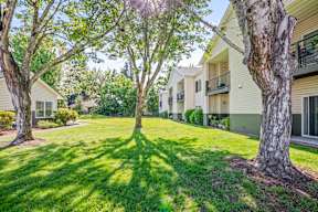 A tree in a grassy area in front of apartment buildings.