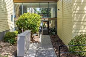 A small tree is in front of a yellow house.