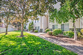 A tree in front of a building with a green lawn.