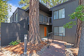 A modern house with a grey exterior and a large tree in front.