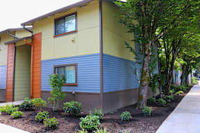 A small house with a blue and yellow exterior is surrounded by trees and plants.