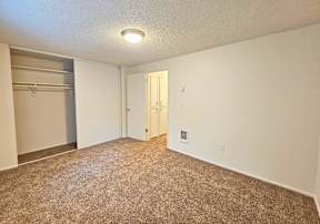 A room with a carpeted floor and a closet with a sliding door.