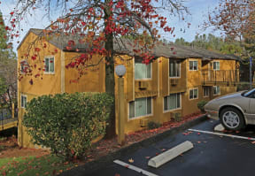 a yellow apartment building with a parking lot and a tree