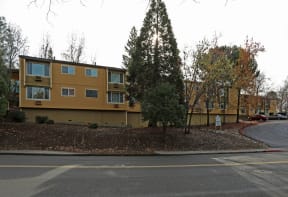 the building in which the apartment is located