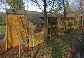 the back of a yellow house with a deck and trees