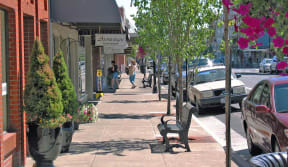 downtown albanhy