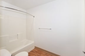 a bathroom with a tub and a shower and a toilet