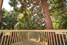 a large deck with a tree in the background