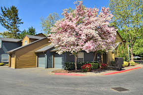 a house with a flowering tree in front of it