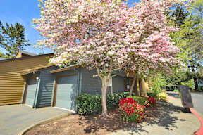 a tree in front of a garage door of a house
