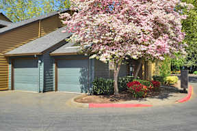 a house with blue garage doors and a flowering tree in front