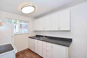 a kitchen with white cabinets and a sink and a window